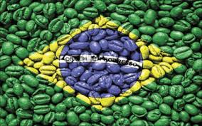 Khám phá văn hóa cà phê Brazil – cái nôi của những hạt cà phê nổi tiếng thế giới với hương vị đậm đà, quy trình chế biến độc đáo và nét thưởng thức đầy cuốn hút.