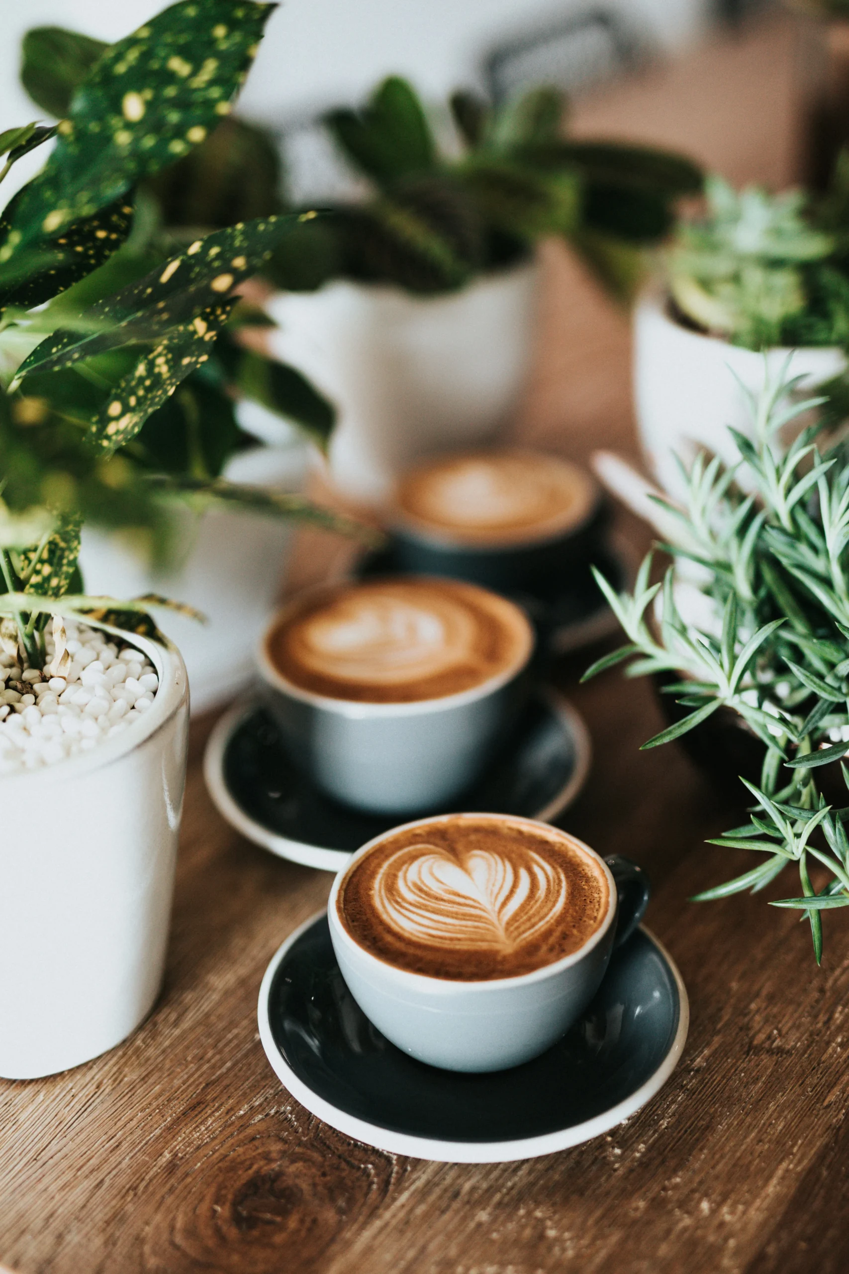 Cà phê cold brew là gì và cách pha cold brew tại nhà