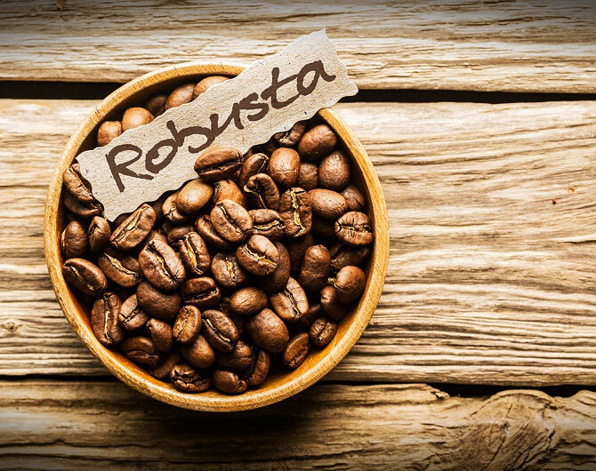 Giá cà phê Robusta trên thị trường