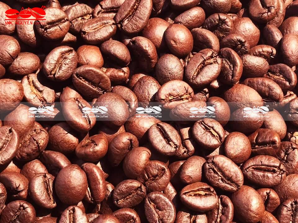 Hạt cà phê Robusta chất lượng cao